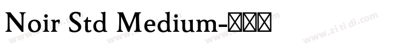 Noir Std Medium字体转换